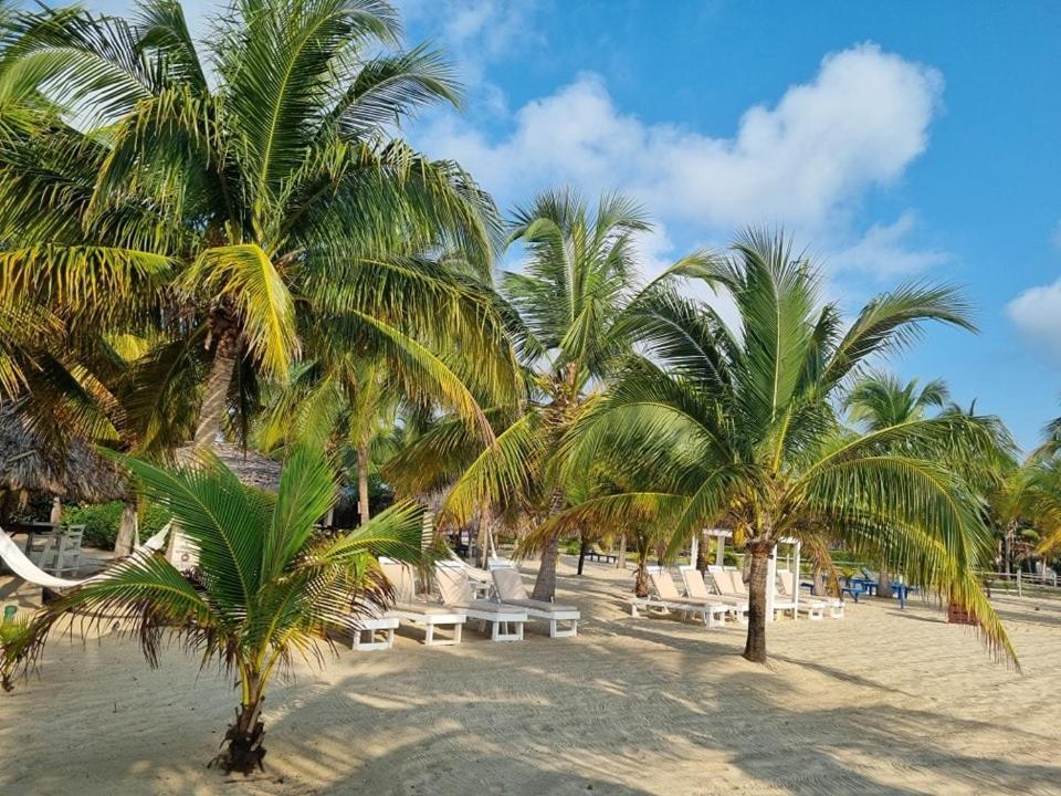 Caribbean Beach Cabanas Placencia Exterior foto